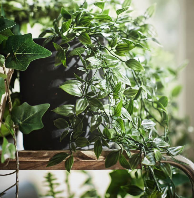 FEJKA Artificial potted plant, indoor/outdoor/hanging, 9 cm (3 ½ ")
